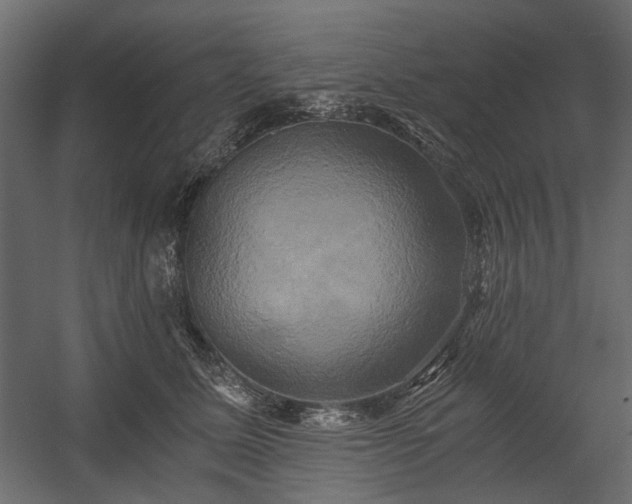 X0000058800611200510031322