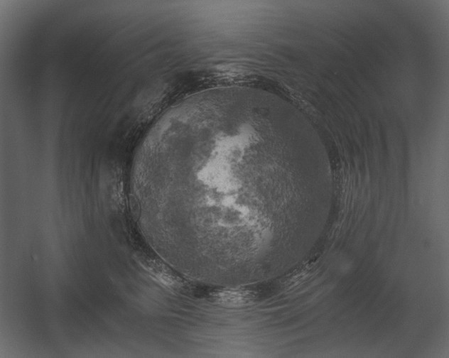 X0000058800615200510031322
