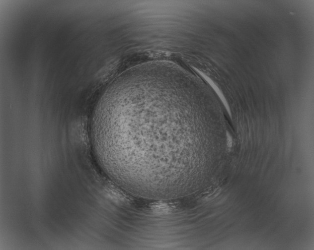 X0000058800616200510031322