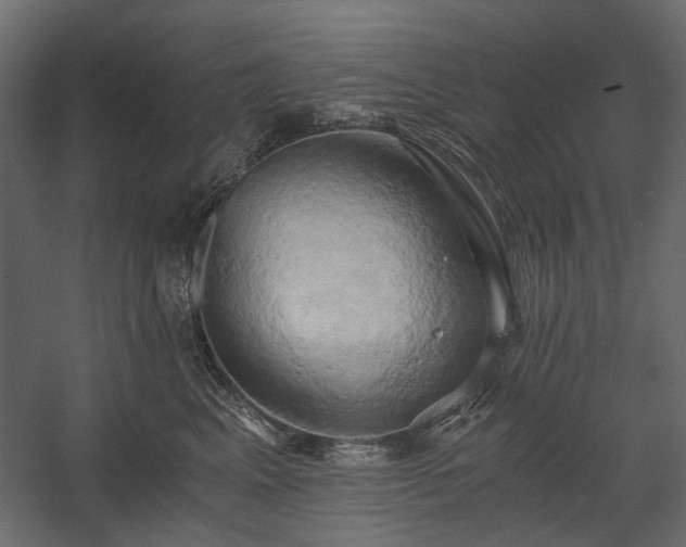 X0000058800617200510031322