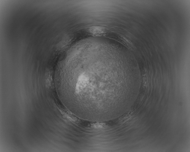 X0000058800618200510031322