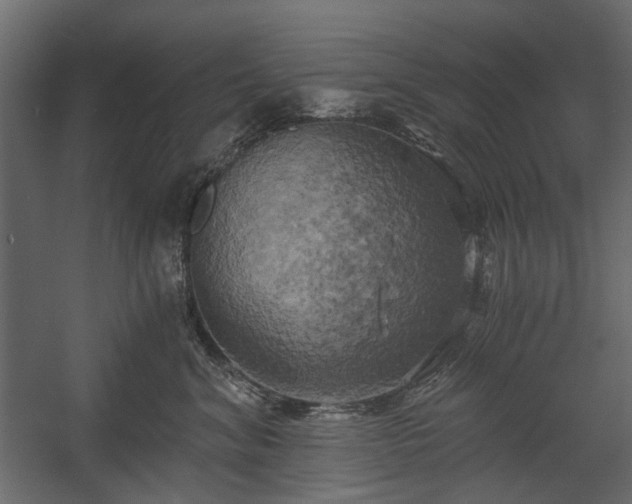 X0000058800620200510031322