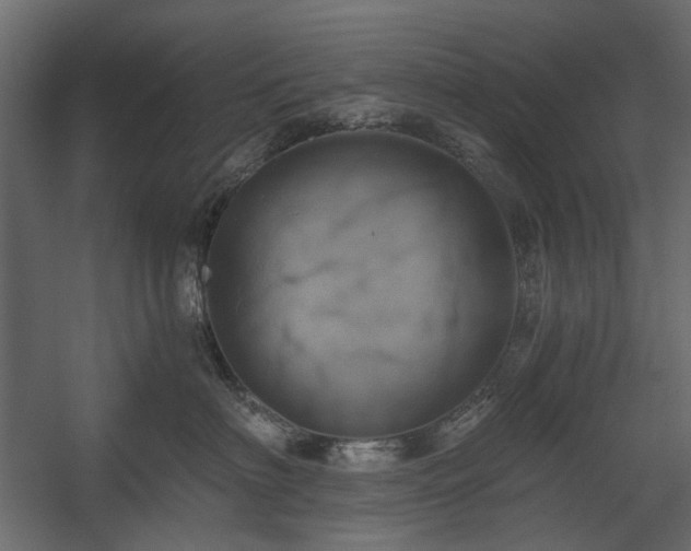 X0000058800622200510031322