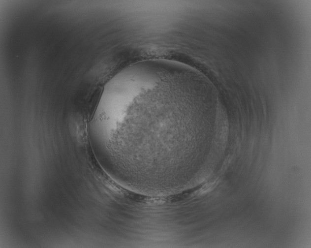 X0000058800624200510031322