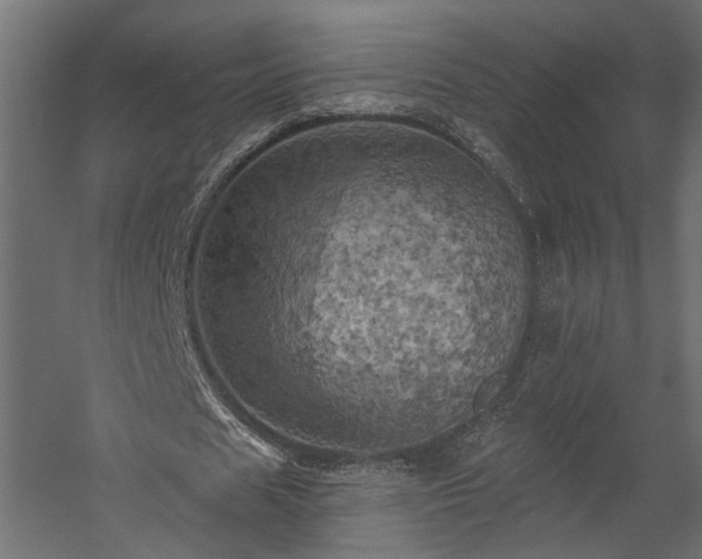 X0000058800625200510031321