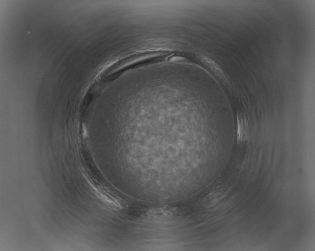 X0000058800627200510031321