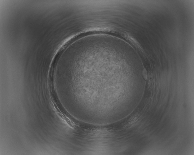 X0000058800628200510031321