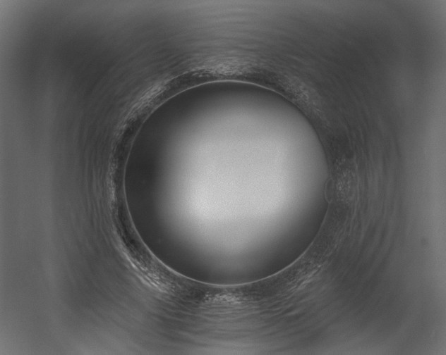 X0000058800635200510031321