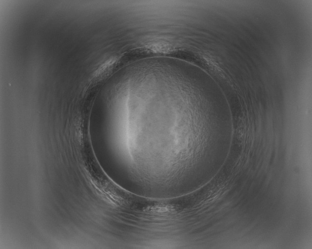 X0000058800639200510031321