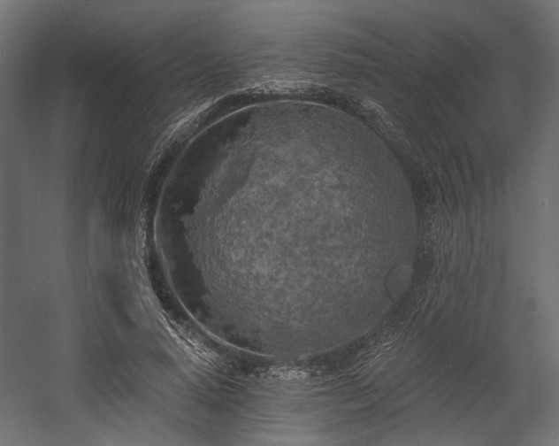 X0000058800640200510031321