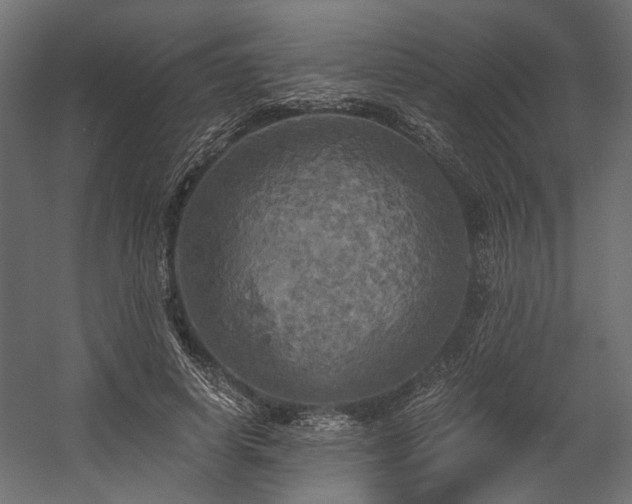 X0000058800642200510031321