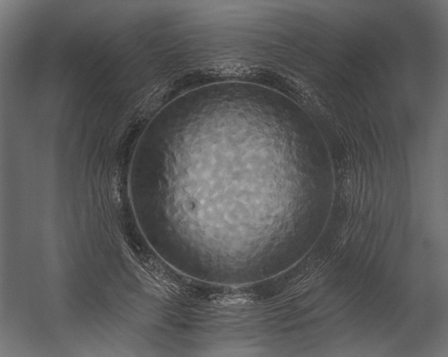 X0000058800643200510031321