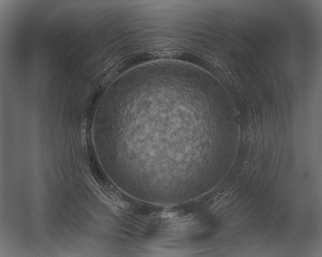 X0000058800647200510031321