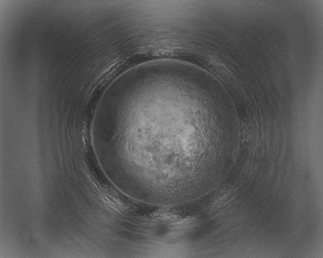 X0000058800648200510031321