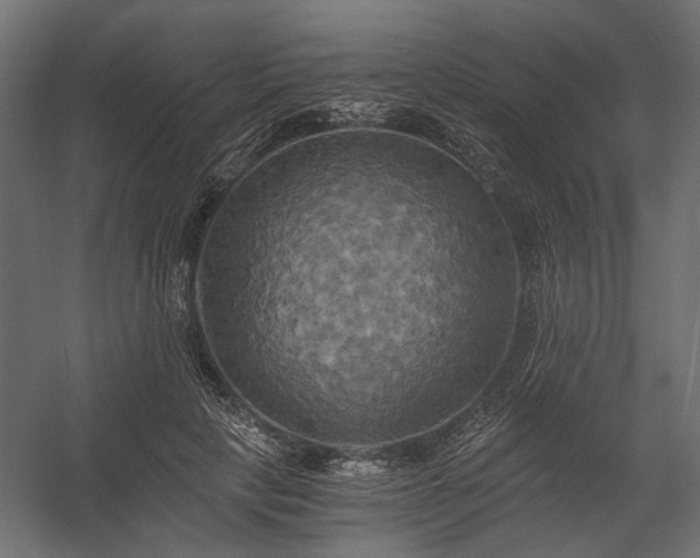 X0000058800649200510031321