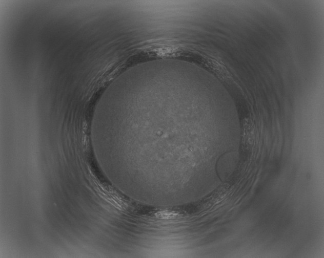 X0000058800650200510031321