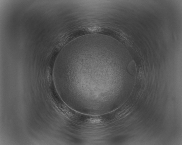 X0000058800651200510031321