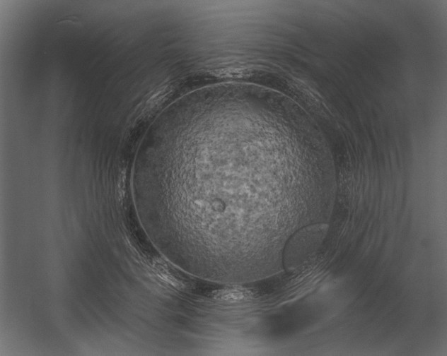 X0000058800652200510031321