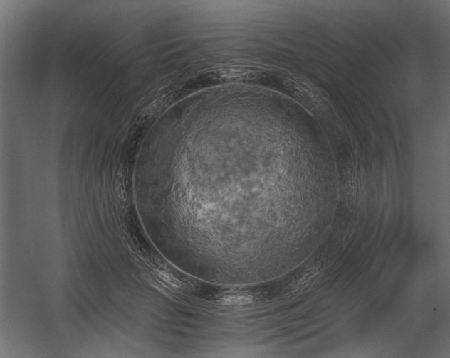 X0000058800653200510031321