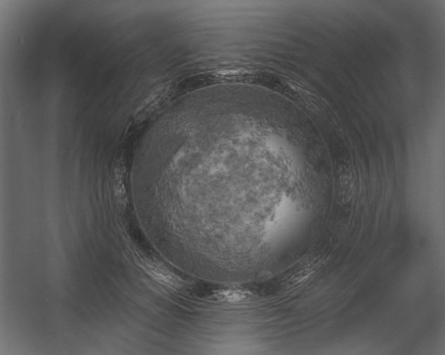 X0000058800654200510031321