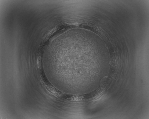 X0000058800656200510031321