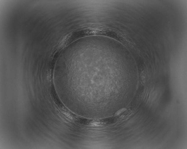 X0000058800657200510031321