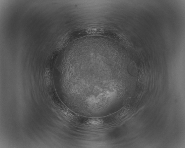 X0000058800659200510031321