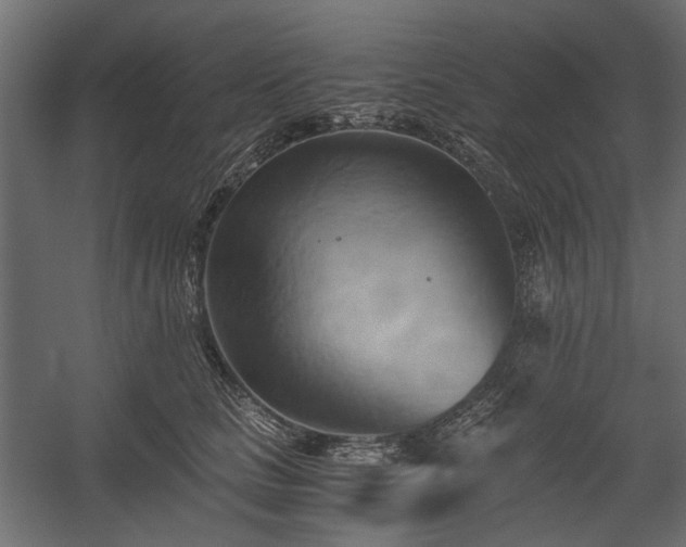 X0000058800661200510031321
