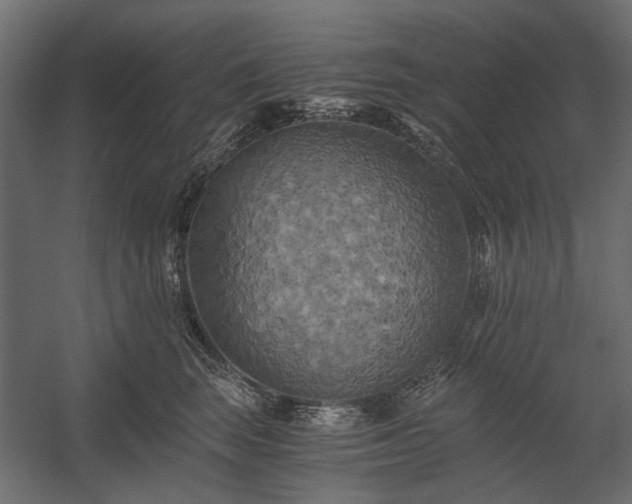 X0000058800663200510031321