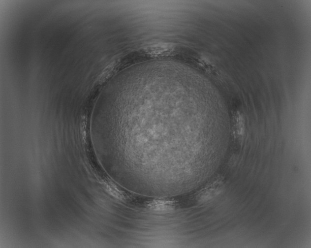 X0000058800664200510031321