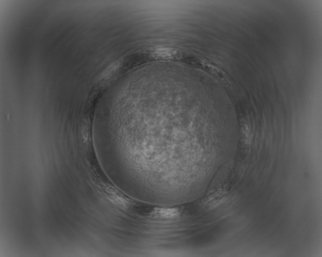 X0000058800665200510031321
