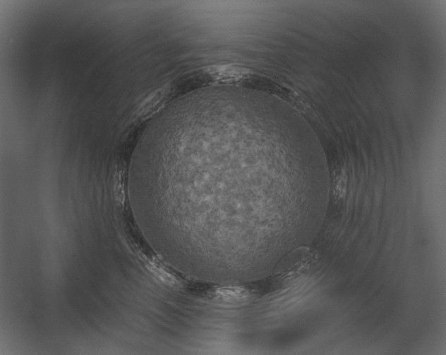 X0000058800666200510031321