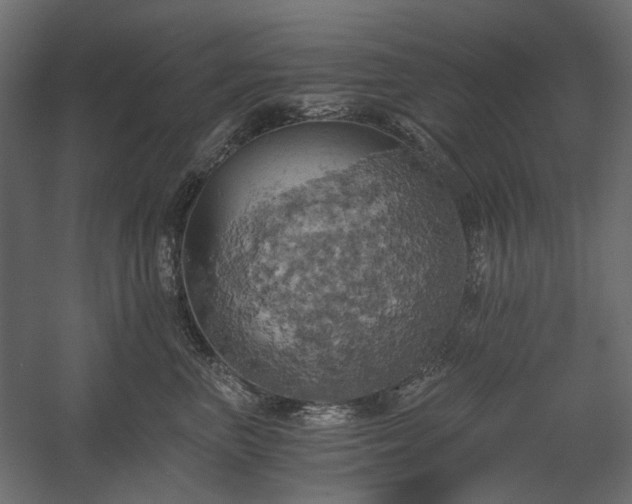 X0000058800667200510031321