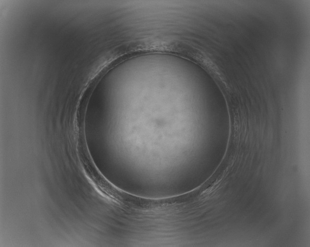 X0000058800674200510031321