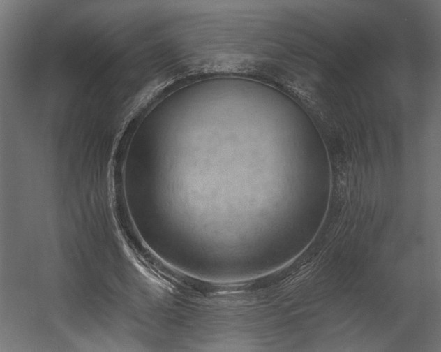 X0000058800678200510031321