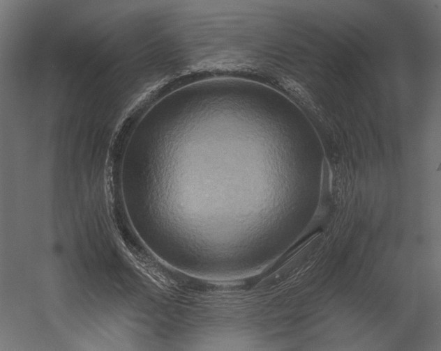 X0000058800680200510031321