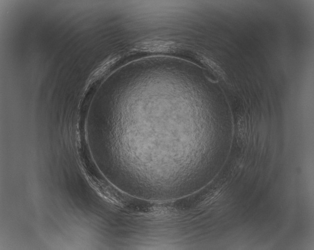 X0000058800682200510031321