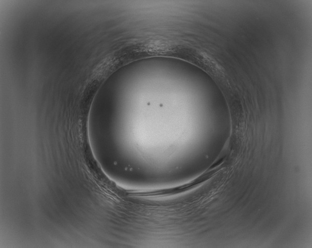 X0000058800689200510031320