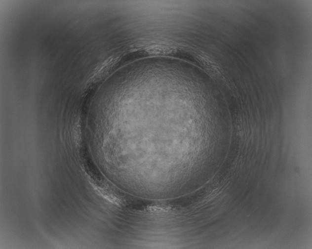 X0000058800690200510031320