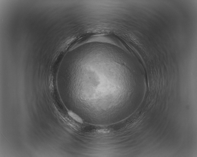 X0000058800692200510031320