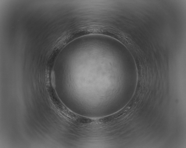 X0000058800696200510031320