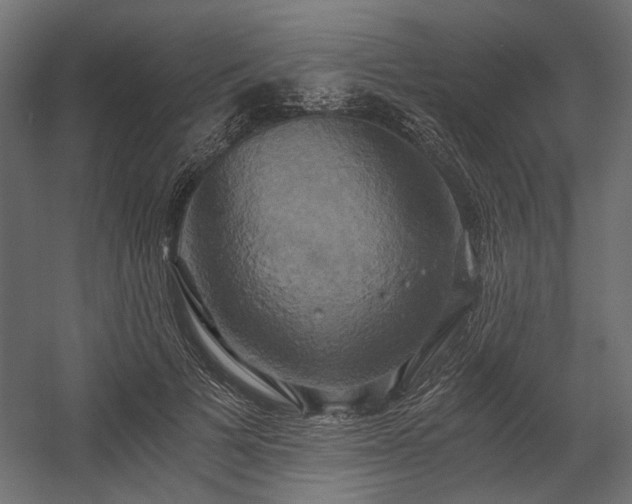 X0000058800697200510031320