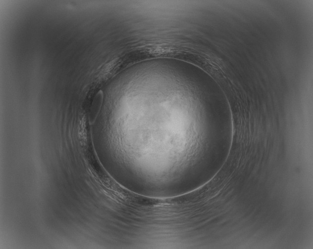 X0000058800700200510031320