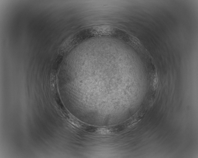 X0000058800701200510031320