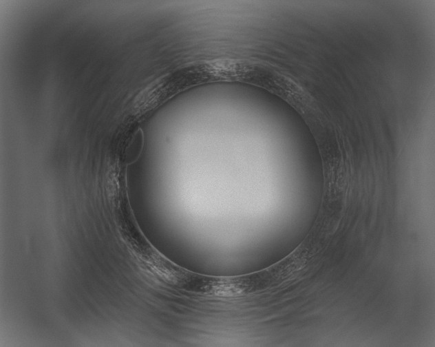 X0000058800702200510031320