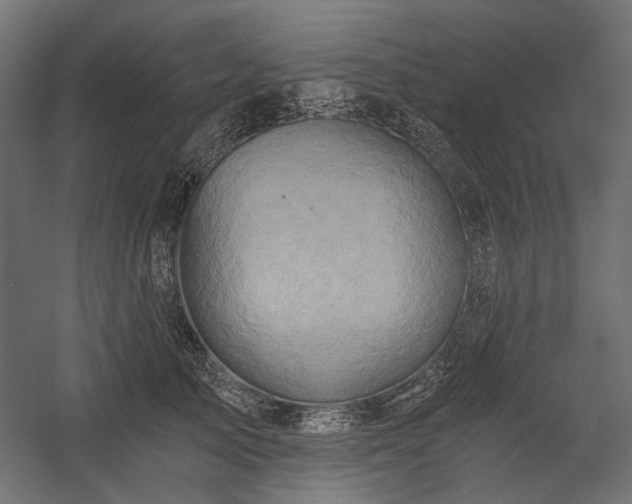 X0000058800705200510031320