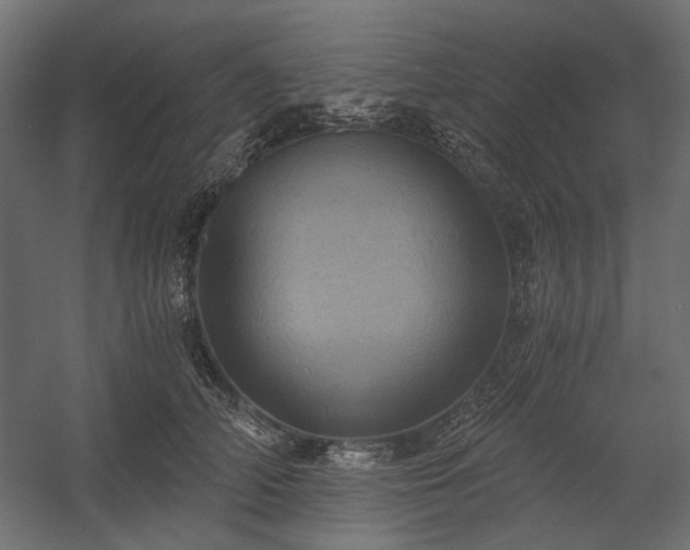 X0000058800706200510031320