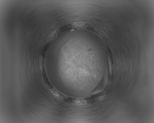 X0000058800712200510031320