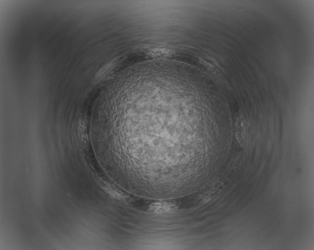 X0000058800714200510031320