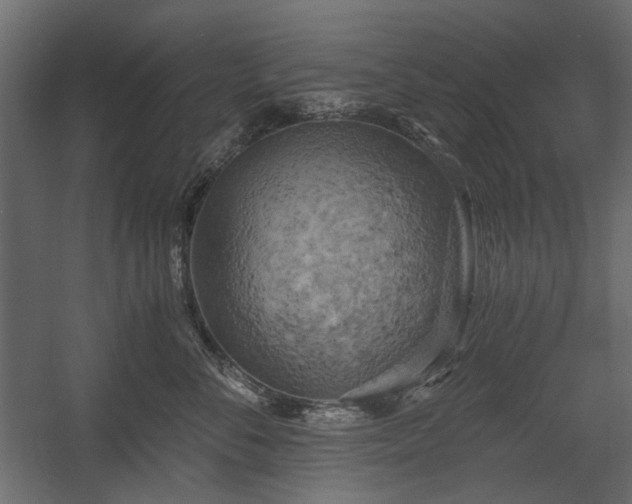 X0000058800716200510031320